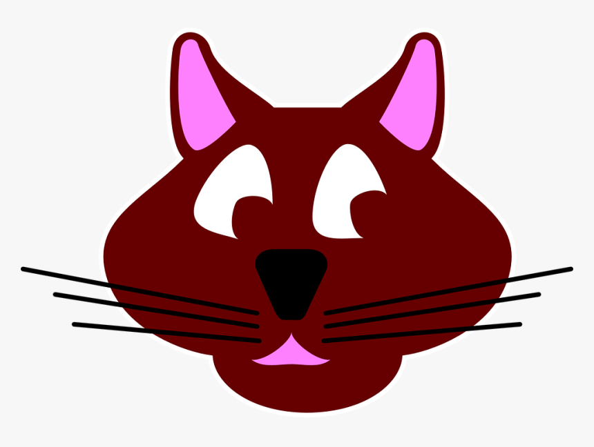 Cat, Brown, Face, Animal, Whiskers, Kitten, Feline, HD Png Download