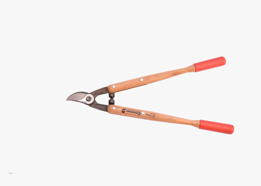 Corona Bucket Png, Transparent Png