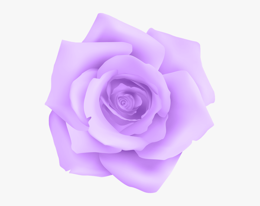 Rose Clipart Lavendar, HD Png Download