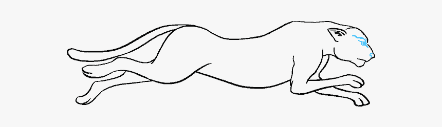 How To Draw Cheetah, HD Png Download