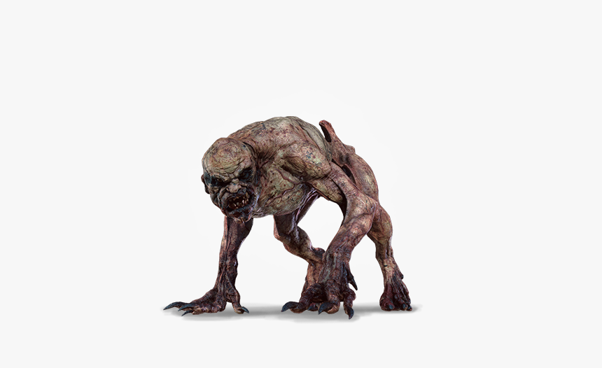 Witcher Wiki, HD Png Download