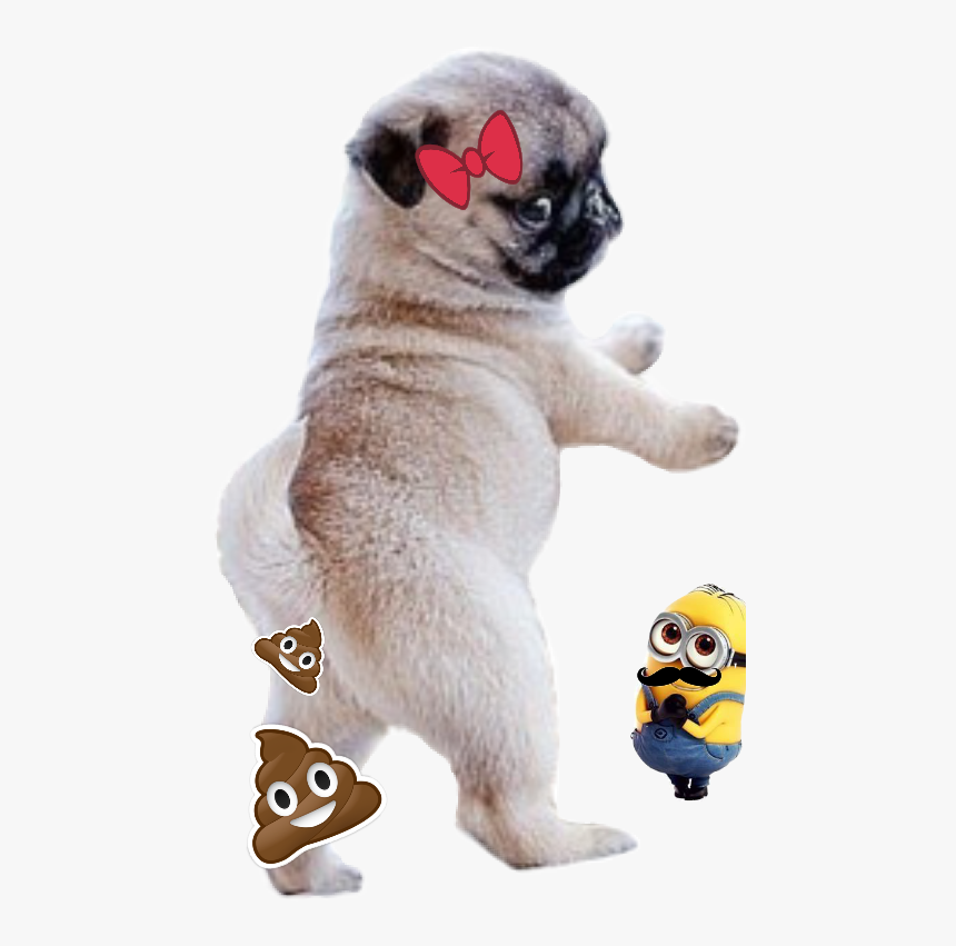 Pooping Dog, HD Png Download