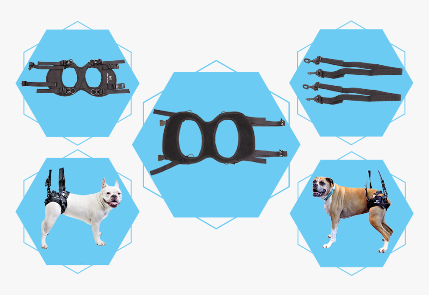 Walkin, HD Png Download