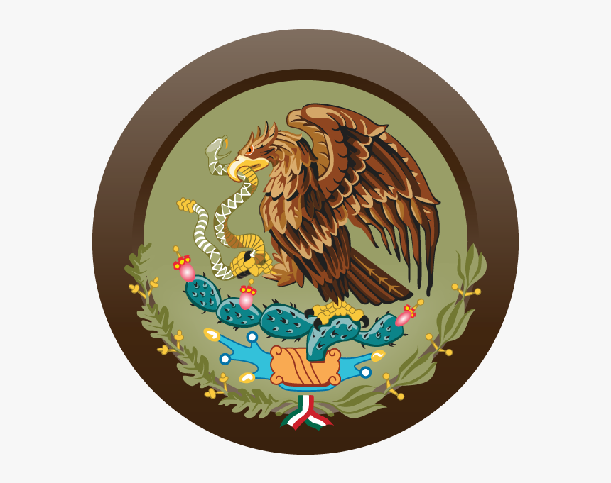 Austin Homebrew Piloncillo Brown Ale, HD Png Download