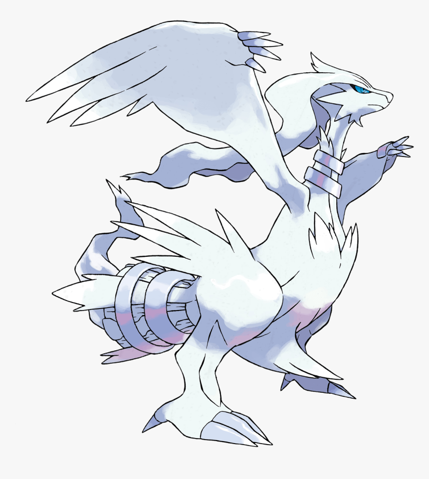 Zekrom Png, Transparent Png
