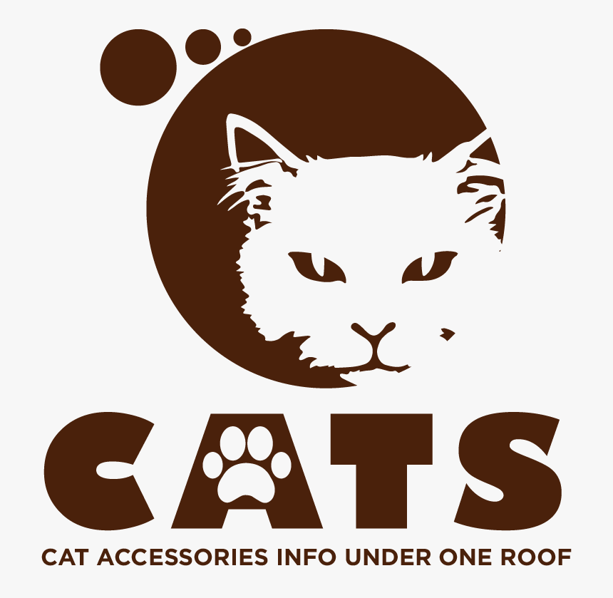Cat Accessories - Cat, HD Png Download