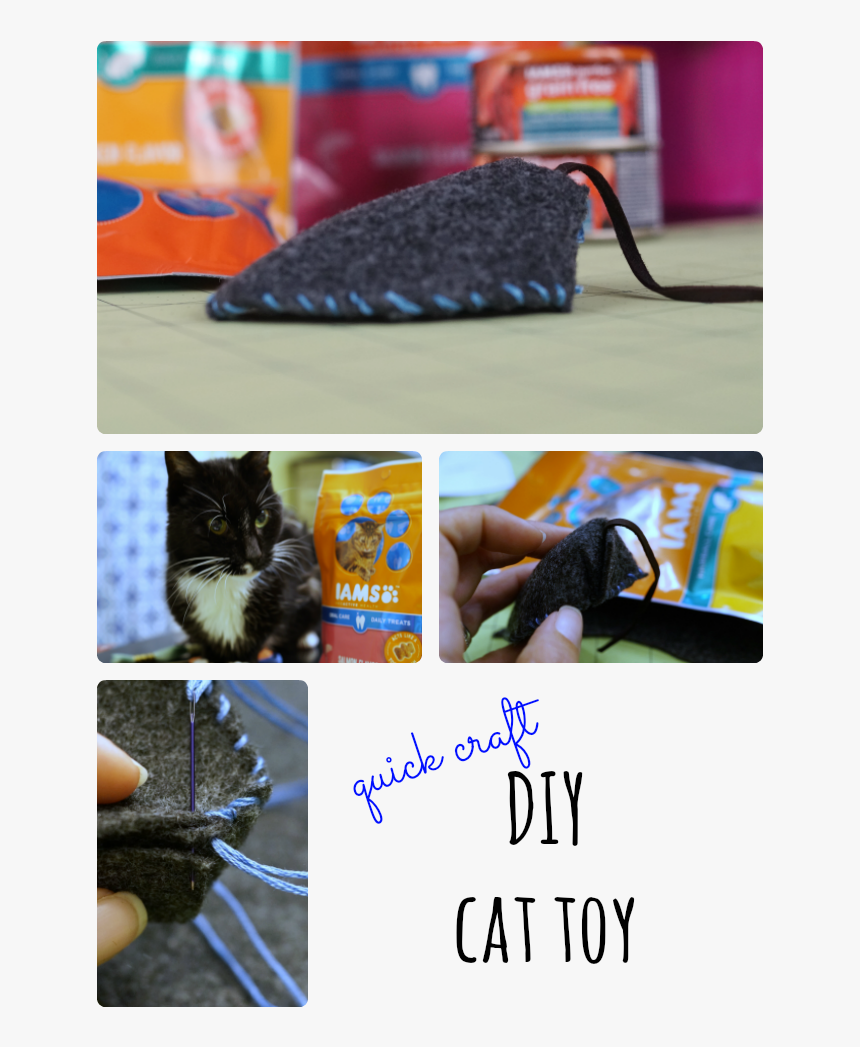 Making A Cat Toy Is Easier Than You Think Check Out, HD Png Download