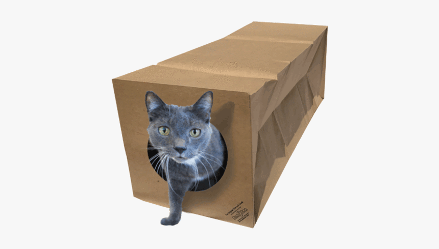 Cat Toy Png, Transparent Png