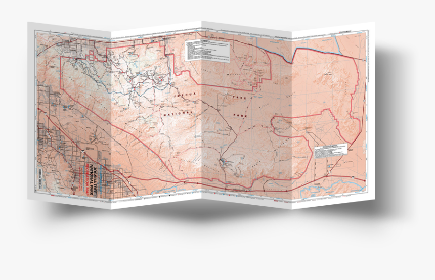 Joshua Tree Png, Transparent Png