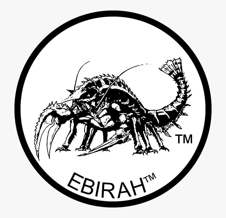 Toho Logo Png, Transparent Png