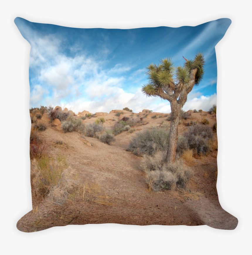 Image Of Joshua Tree, Ca, HD Png Download