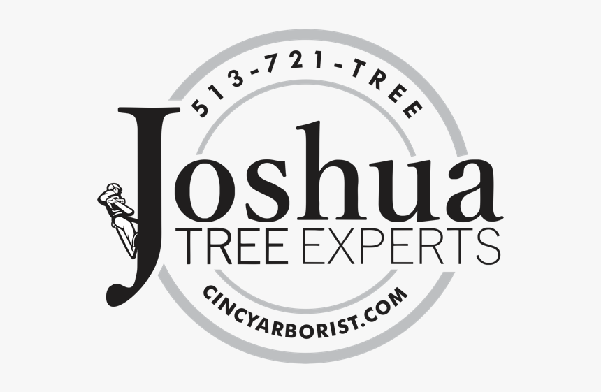 Joshua Tree Png, Transparent Png