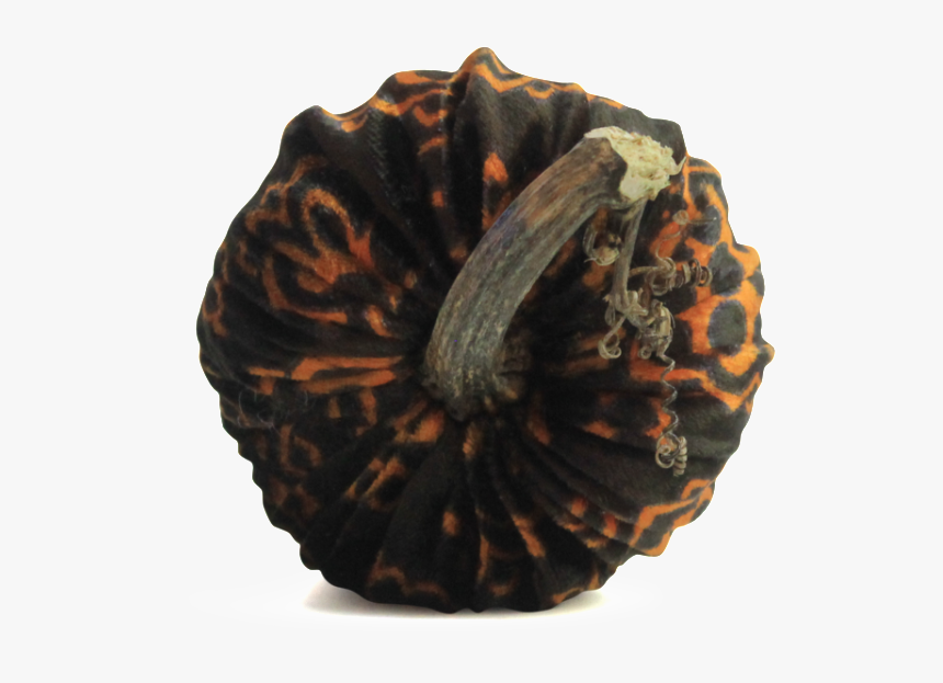 Halloween Pumpkins 
 
 Data Image Id 15285570374, HD Png Download