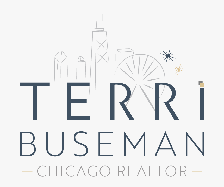 Real Estate Agent Terri Buseman, South Loop Chicago, HD Png Download