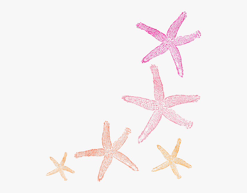 Starfish Silhouette Png, Transparent Png