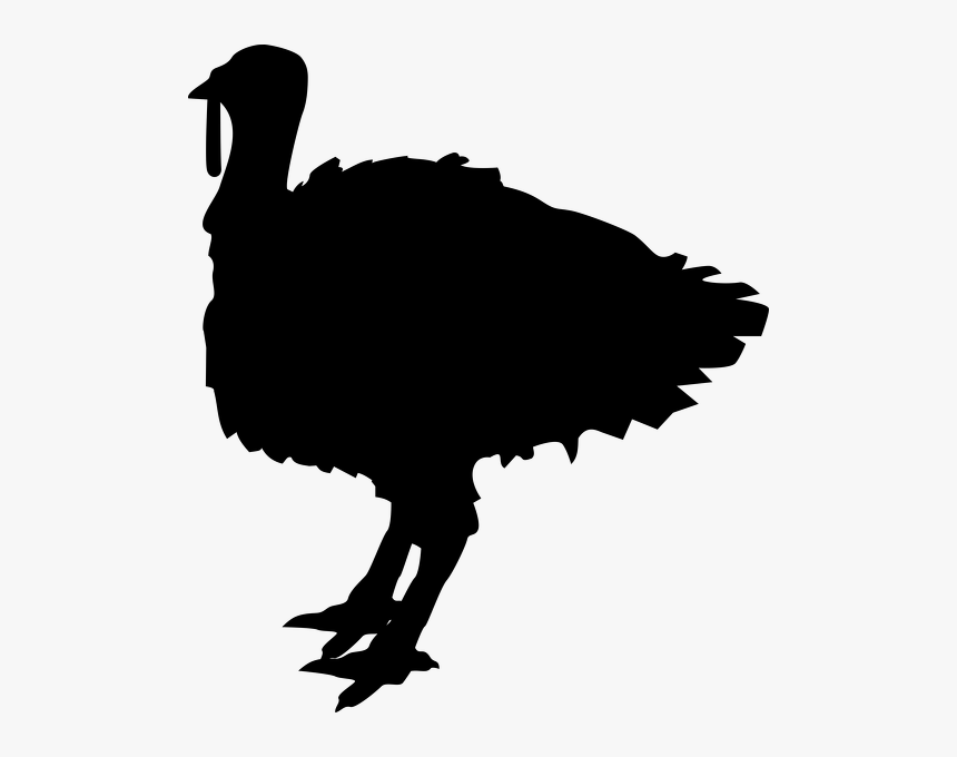 Transparent Turkey Silhouette Png, Png Download