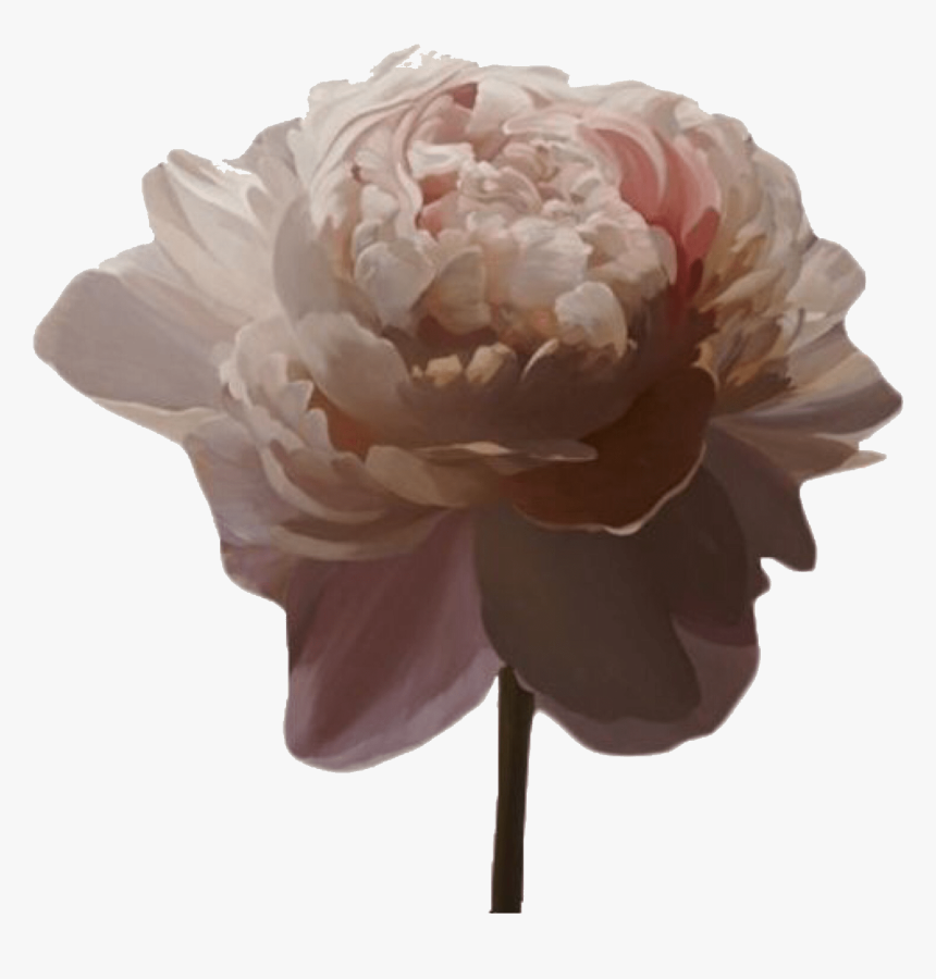 Transparent Aesthetic *source, HD Png Download