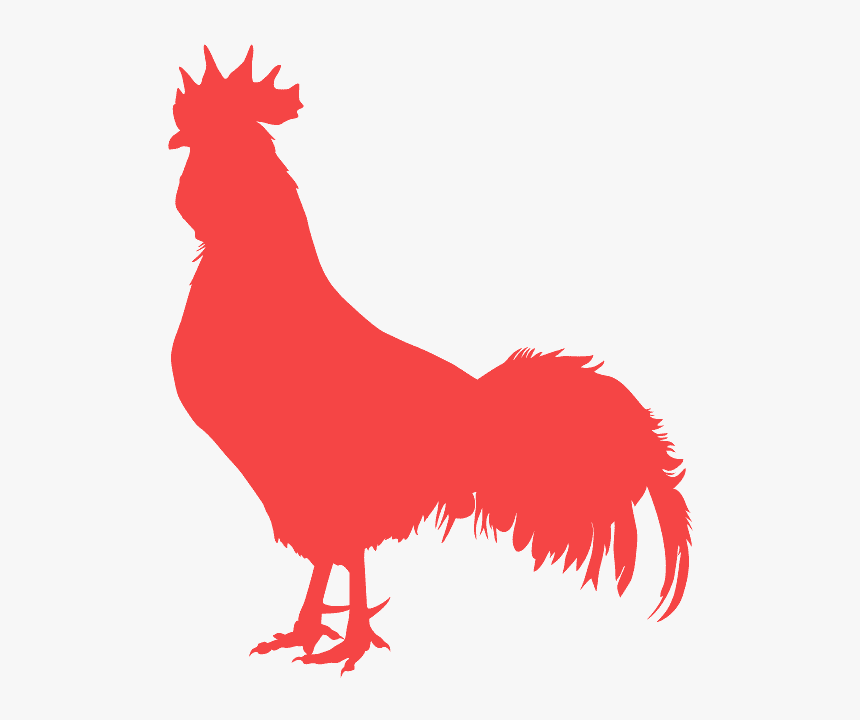 Turkey Silhouette Png, Transparent Png