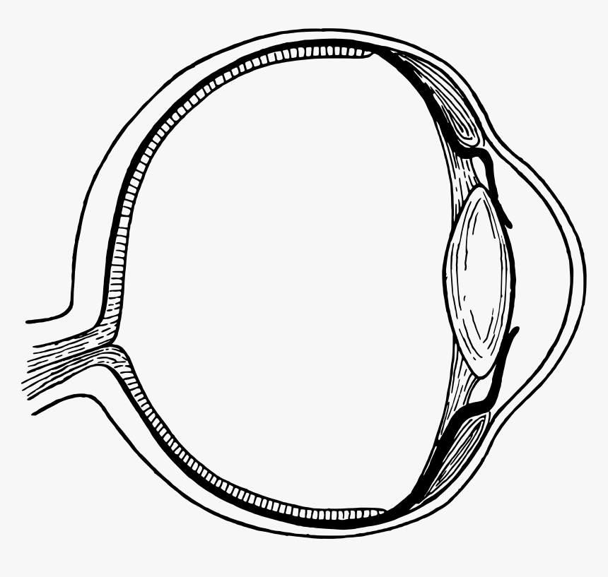Eye 3 Clip Arts, HD Png Download