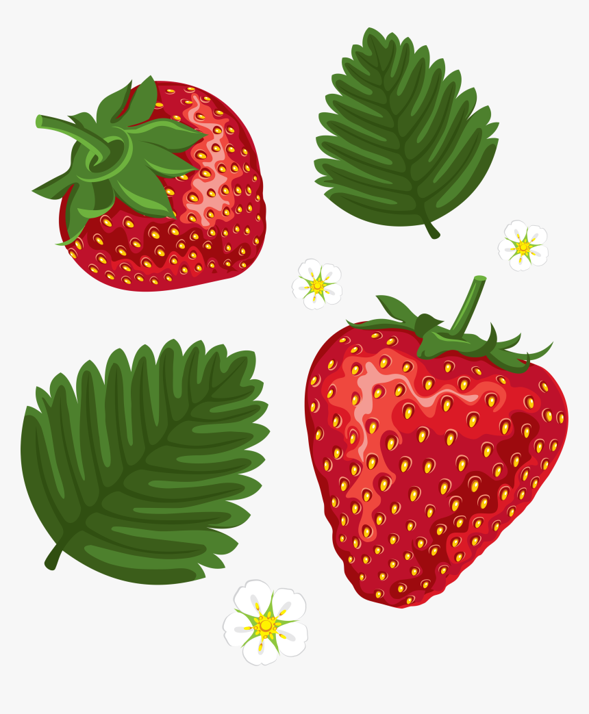 Strawberry Clipart Png, Transparent Png