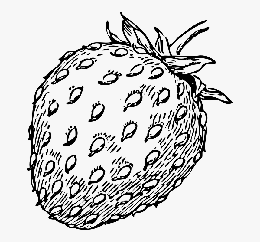Strawberry, Fruit, Food, Berries, Sweet, Edible, HD Png Download