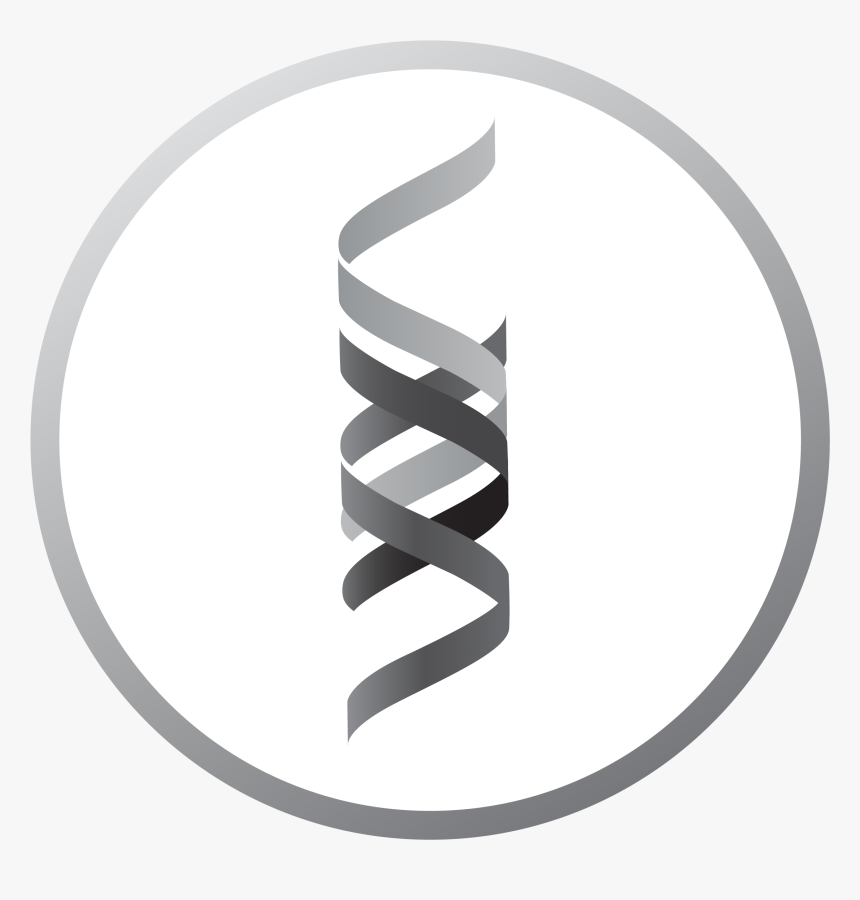 Ribbon Logo Png, Transparent Png