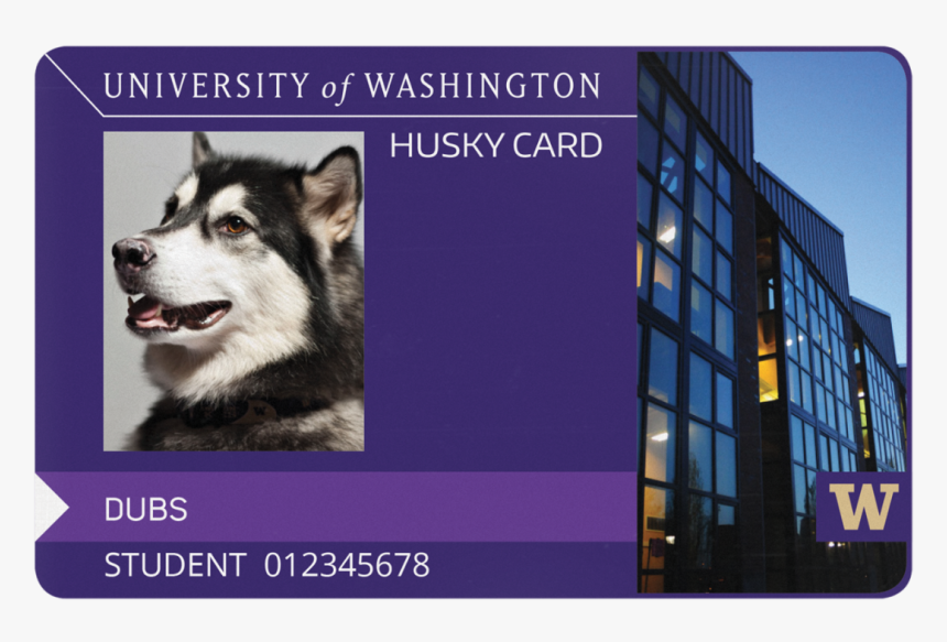Washington Huskies Logo Png, Transparent Png