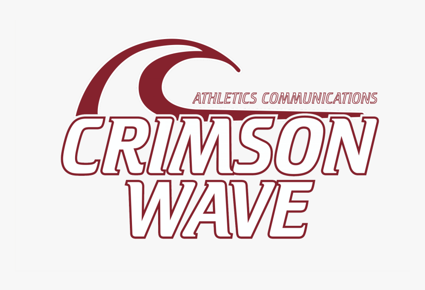 Wave Logo Png, Transparent Png
