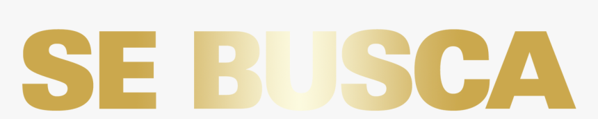 Se Busca Png, Transparent Png
