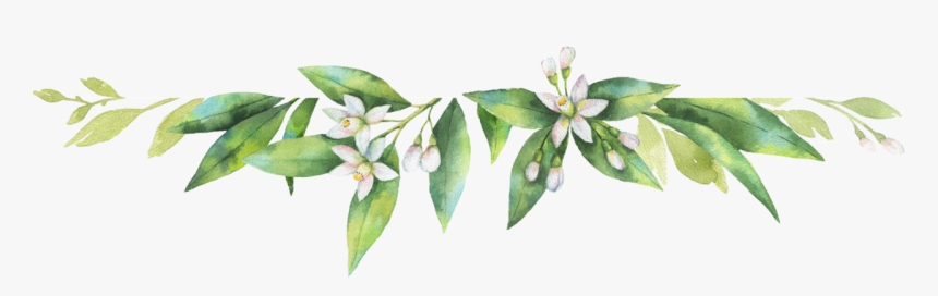 Growing In The Light And The Lifestyle Of A Priestess, HD Png Download