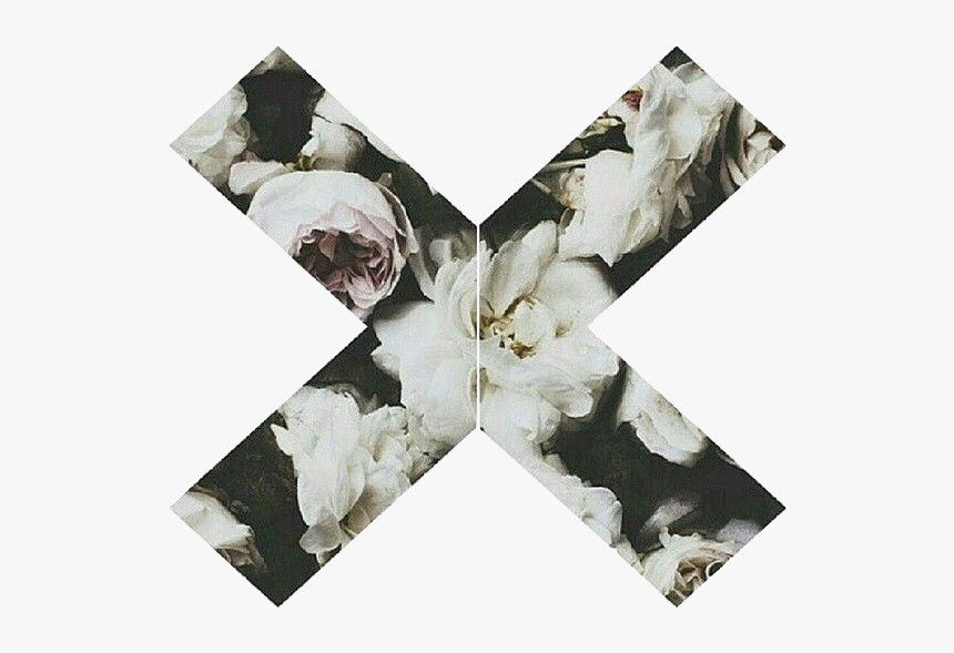 Animal Groups Roleplay Wiki, HD Png Download