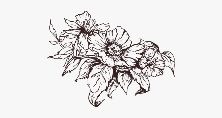 Arrangement-divider, HD Png Download