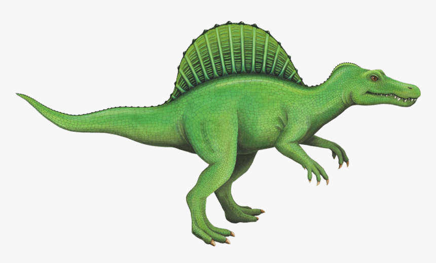 Spinosaurus Wall Sticker See How You Can Create A Dinosaur, HD Png Download