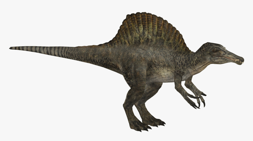 Spinosaurus Png, Transparent Png