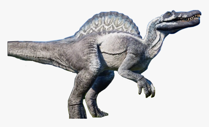 #spinosaurus #freetoedit, HD Png Download