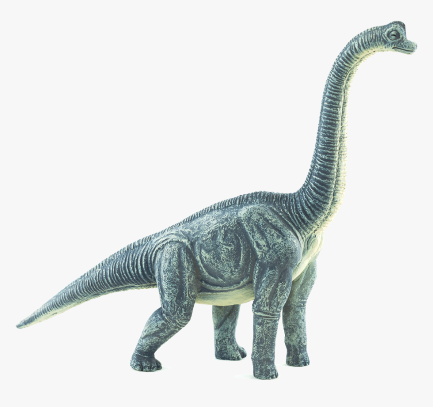 387212 Brachiosaurus, HD Png Download