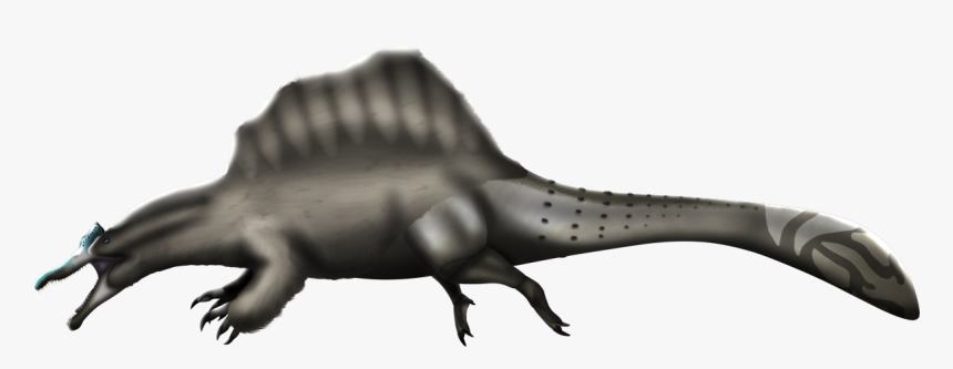 Image, HD Png Download