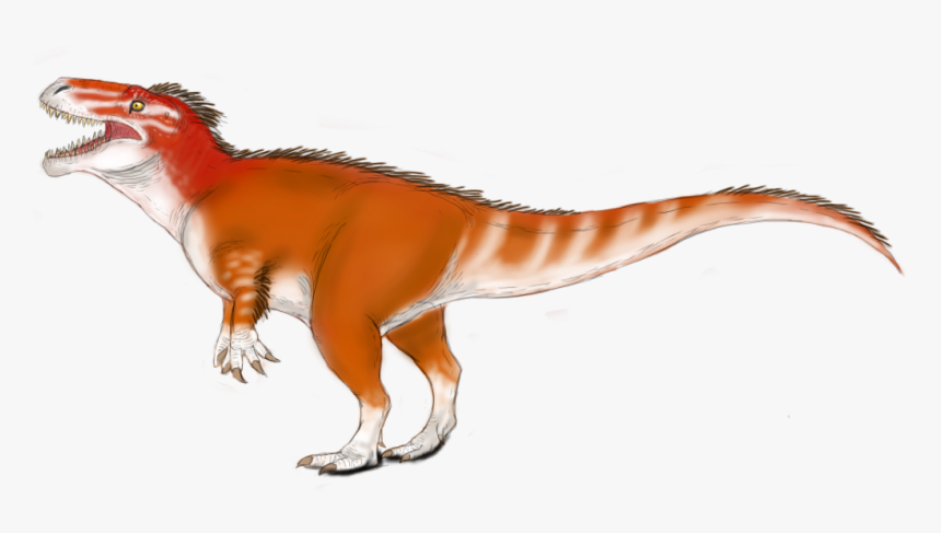 Picture, HD Png Download