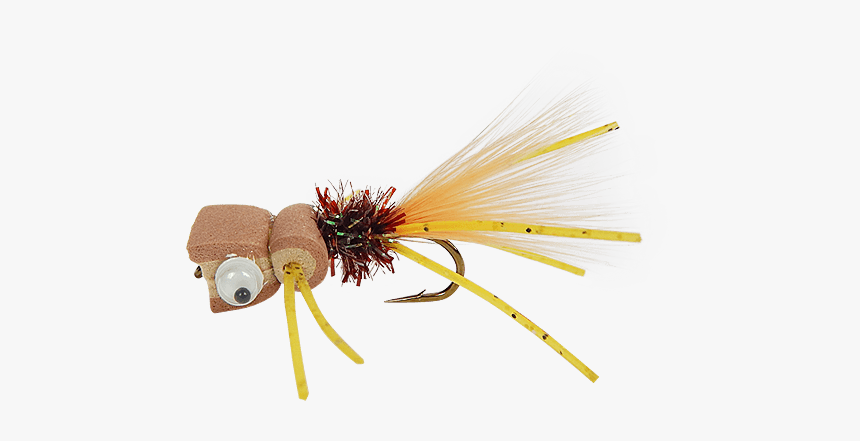 Mini Mad Scientist Brown & Tan, HD Png Download