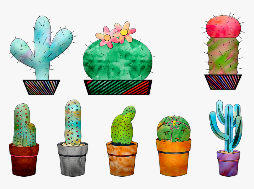 Watercolor Cactus, Cactus, Cacti, Plant, Green, HD Png Download