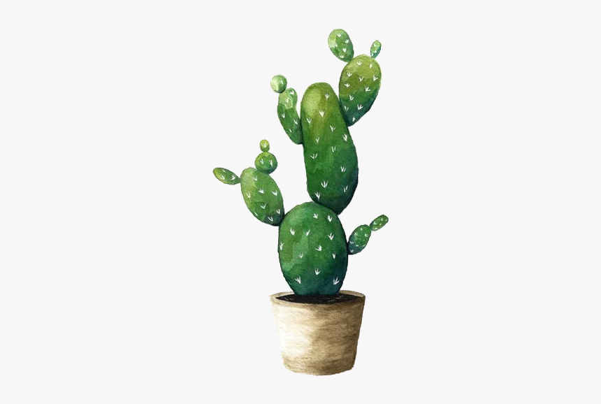 #cactus #cactus🌵 #plant #cactuslover #watercolor #green, HD Png Download