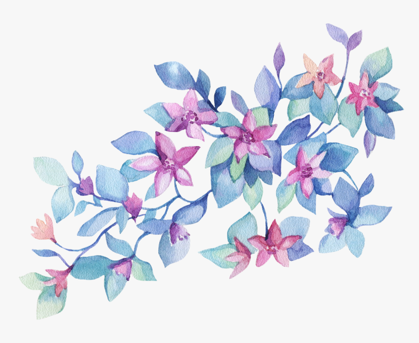 Transparent Watercolor Cactus Png, Png Download