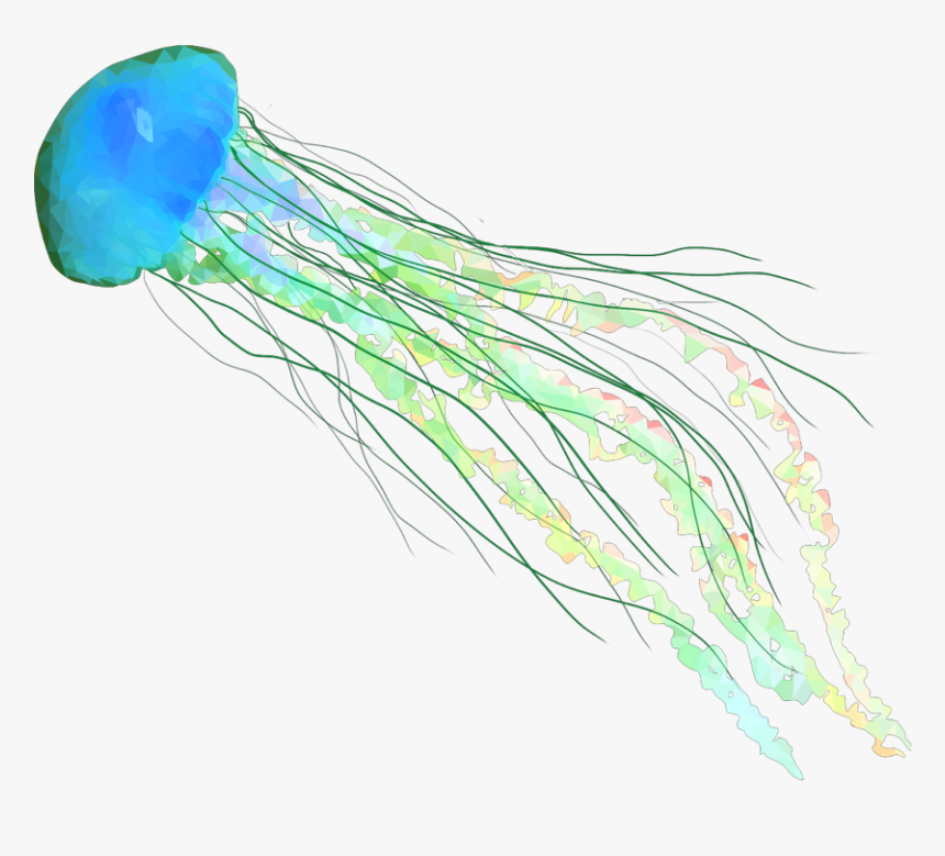 #fish #jellyfish #jellyfishes #ocean #beach #sea #water, HD Png Download