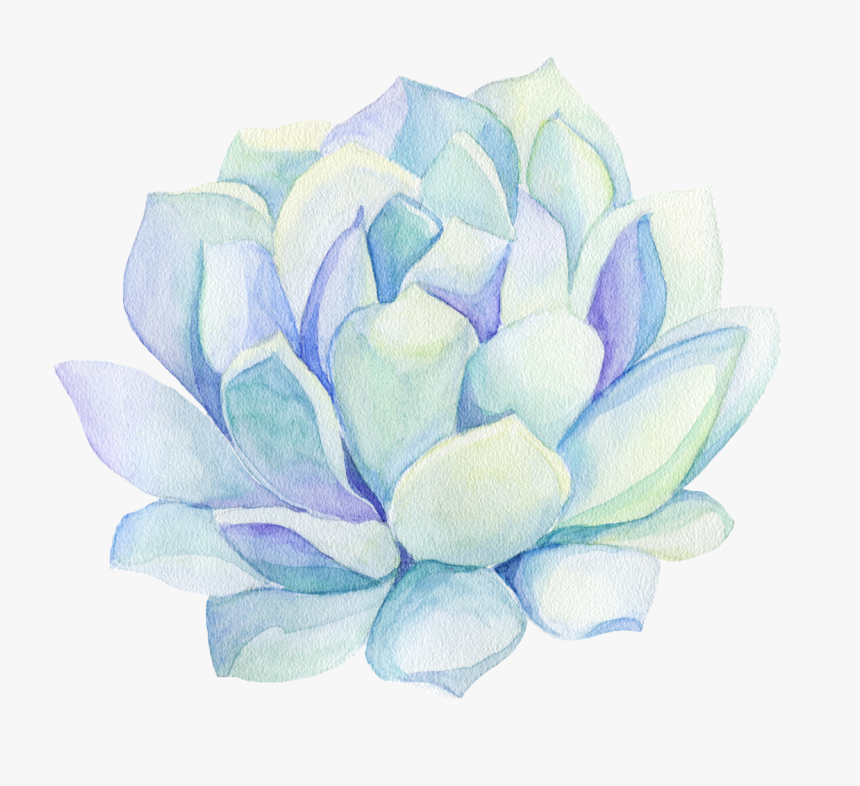 Freetoedit Ftestickers Watercolor Cactus Flower Decorat, HD Png Download