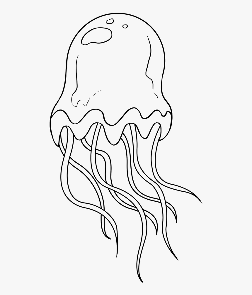 848 X 1200, HD Png Download