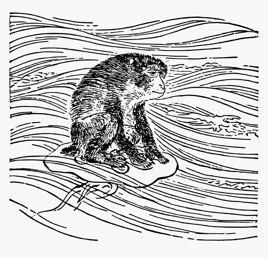 Monkey Rides A Jellyfish Clip Arts, HD Png Download