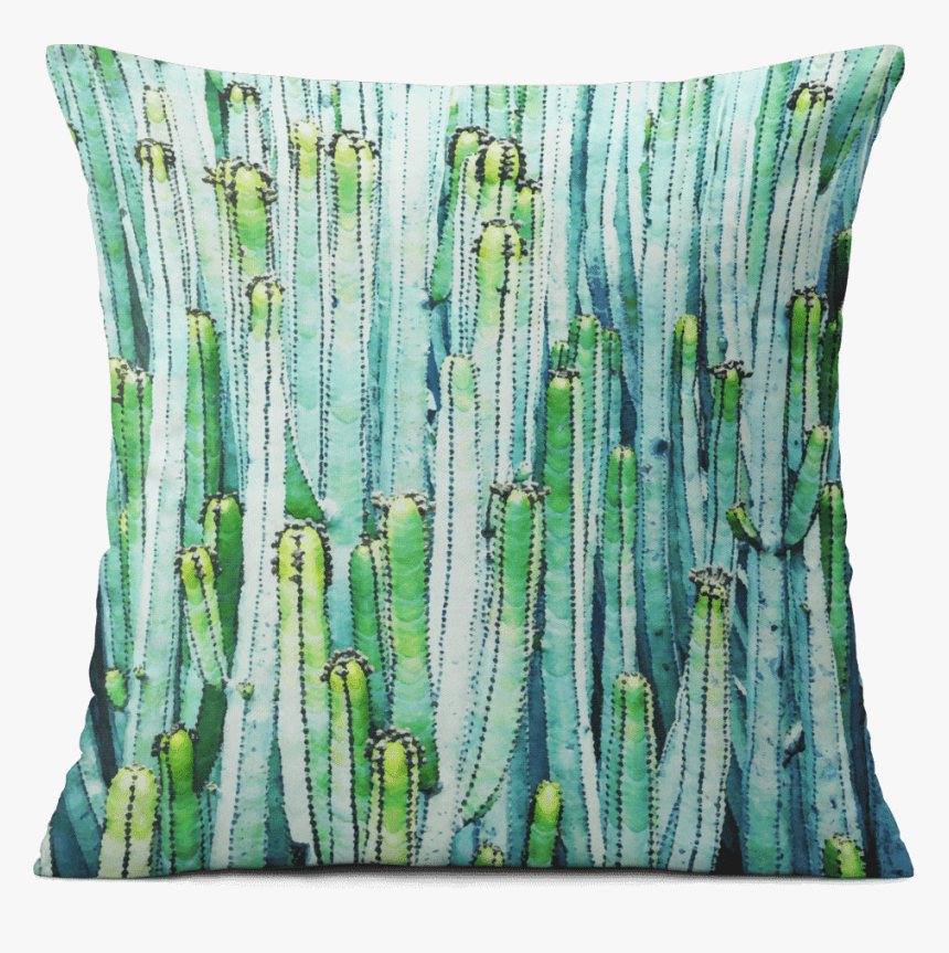 Watercolor Cactus Png, Transparent Png
