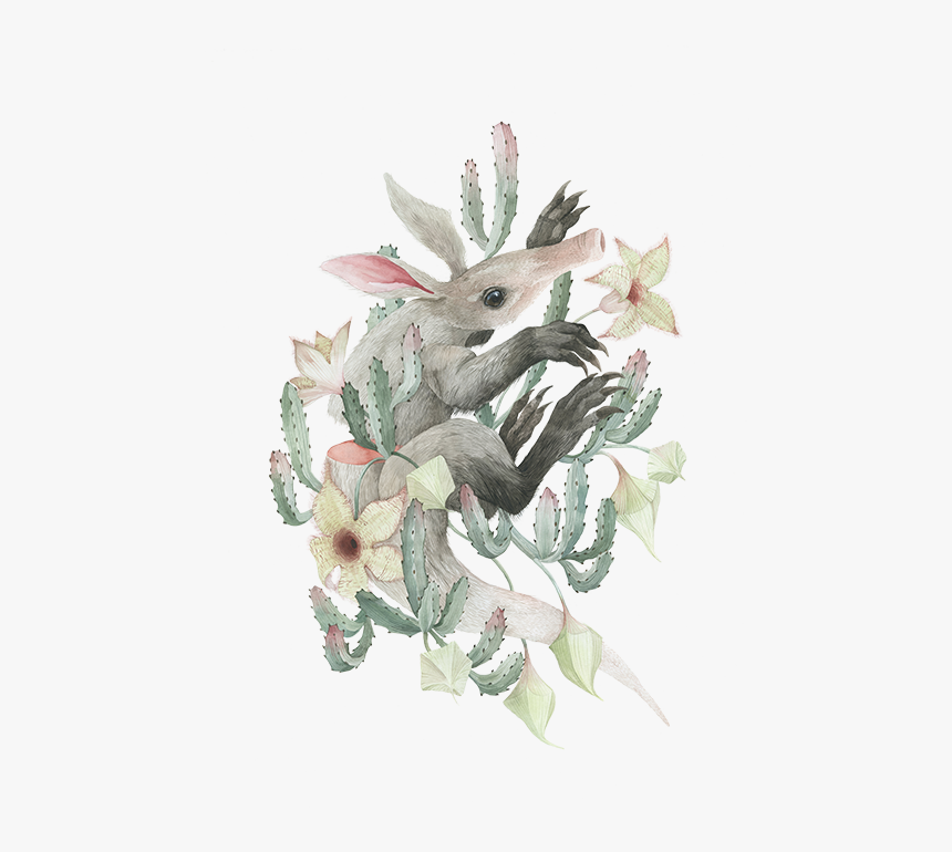 Transparent Watercolor Cactus Png, Png Download