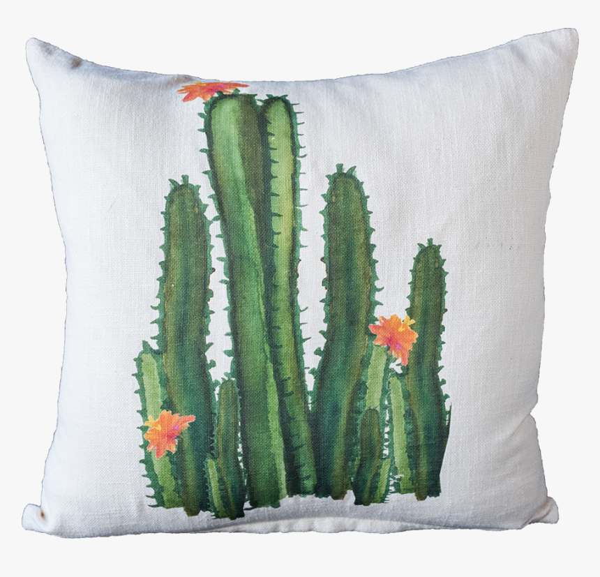 Watercolor Cactus Png, Transparent Png