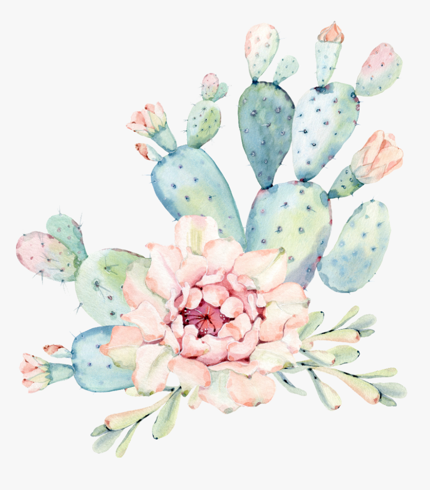 #watercolor #cactus #flower, HD Png Download